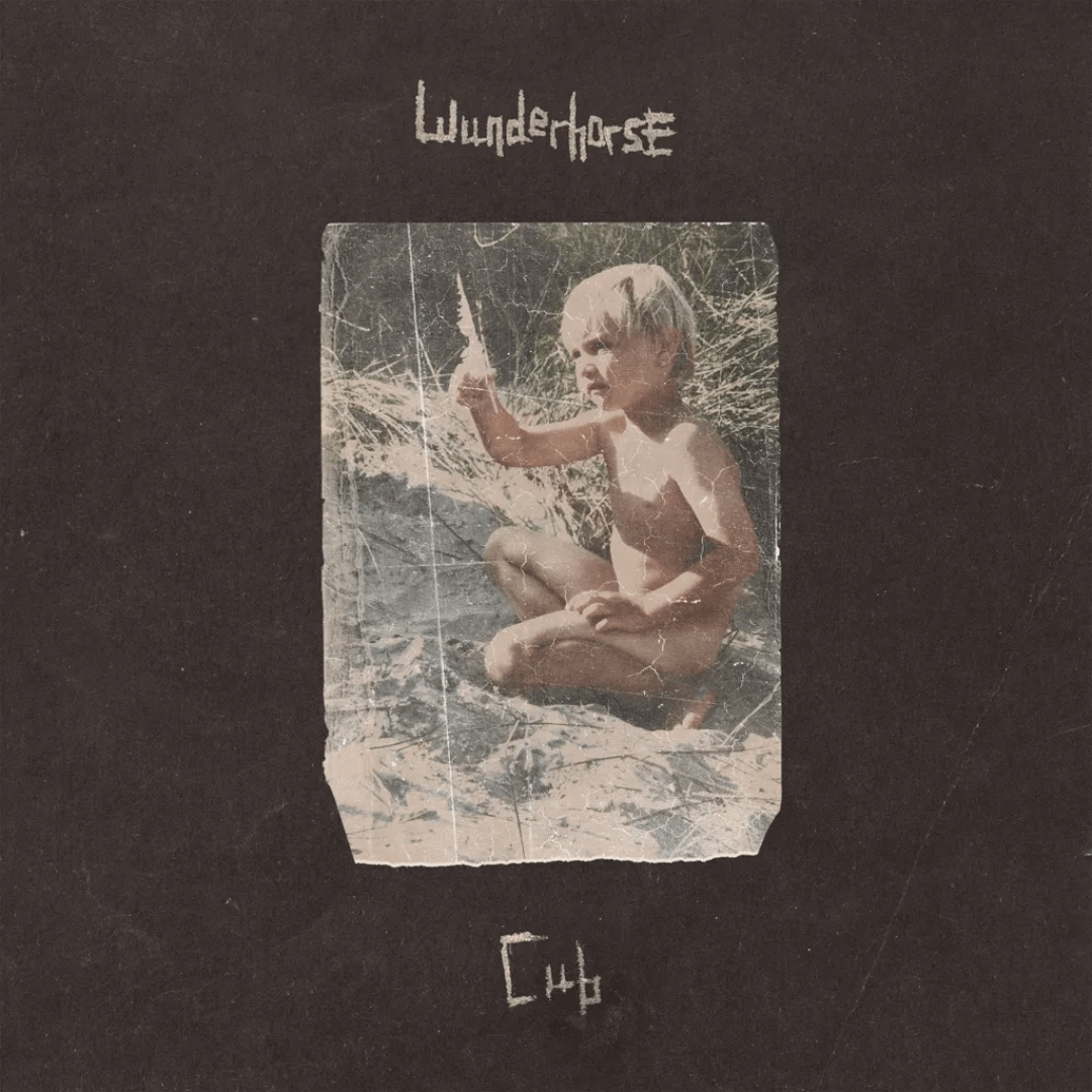 Wunderhorse - Cub - Vinyl LP Record { vinyl }