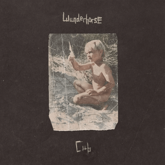 Wunderhorse - Cub - Vinyl LP Record { vinyl }